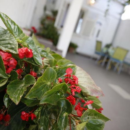 Apartment Lambasa Водице Екстериор снимка